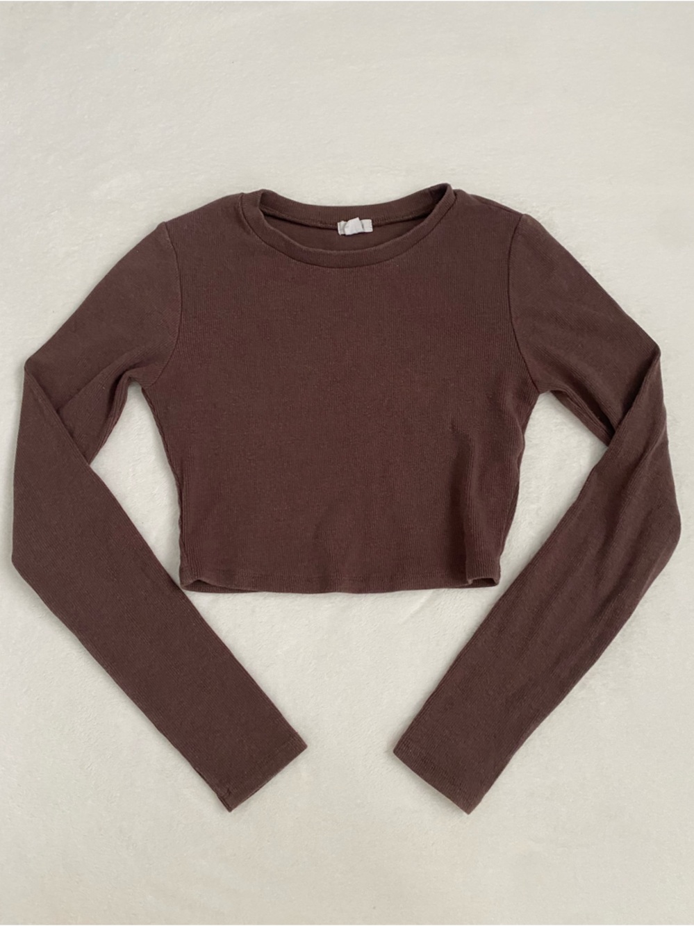 Garage Brown Ribbed Long Sleeve Crop Top